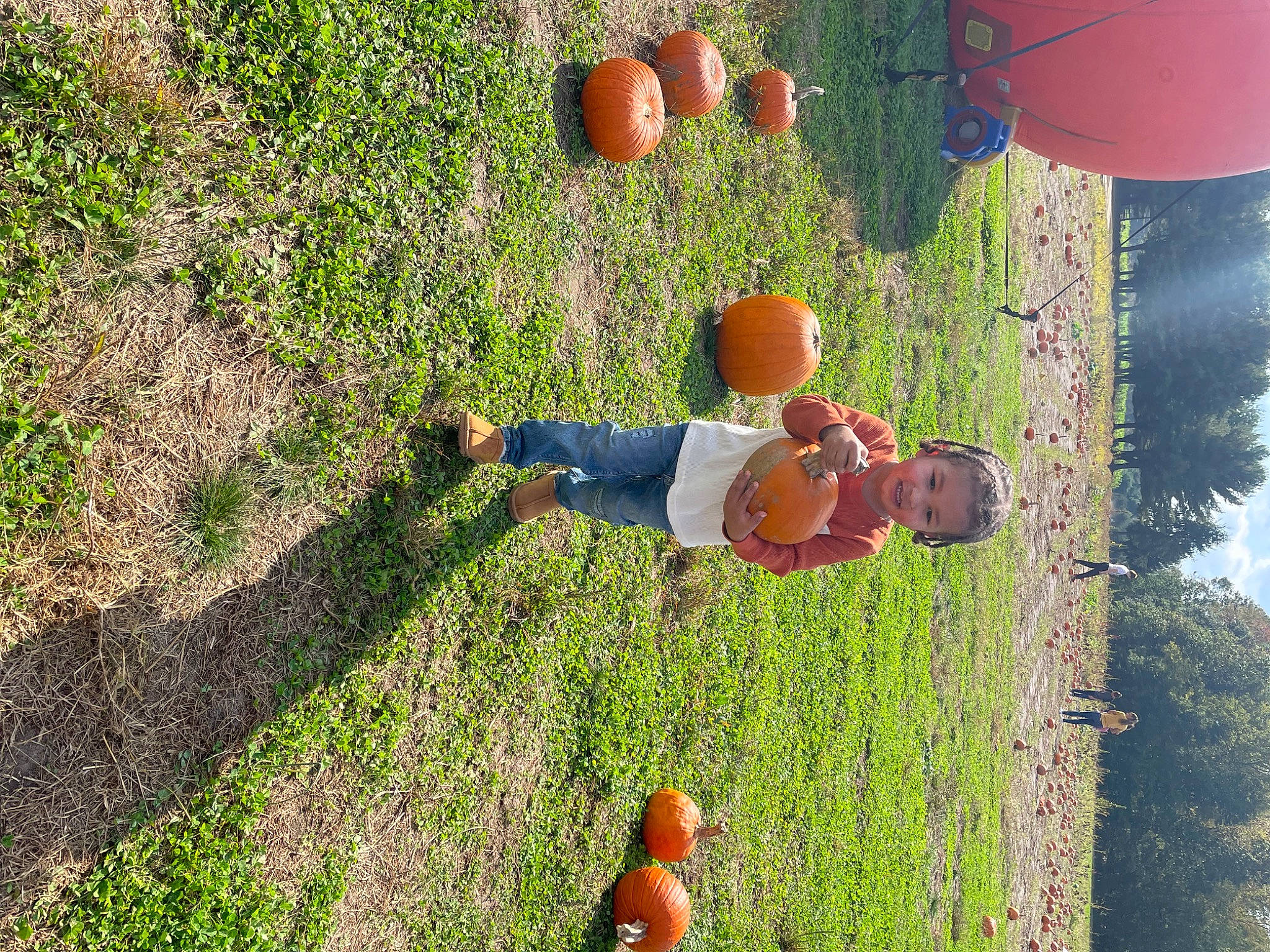 Caiden is registered to the contest to win money with this photo: adaptation, ball, food, fruit, fun, grass, happy, lawn, leaf, leg, leisure, nature, orange, people_in_nature, person, plant, recreation, sky, t_shirt, tree