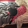 dog, black_dog, bed, blanket, pillow, pink_clothing, strawberry_pattern, indoor, pet, animal, sunlight, cozy, resting, laying_down, fabric, comfort, cute, domestic_animal, relaxation, fur