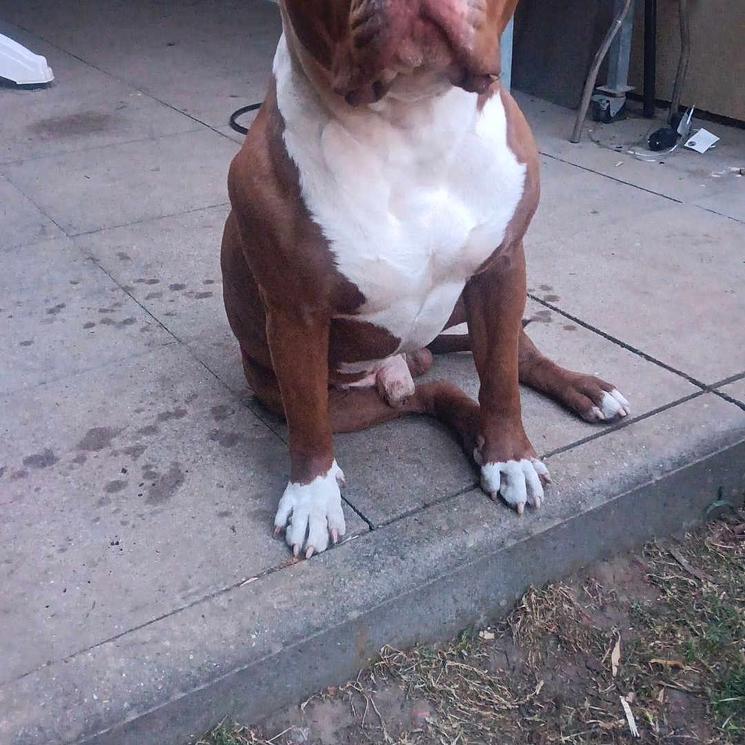 Tyson