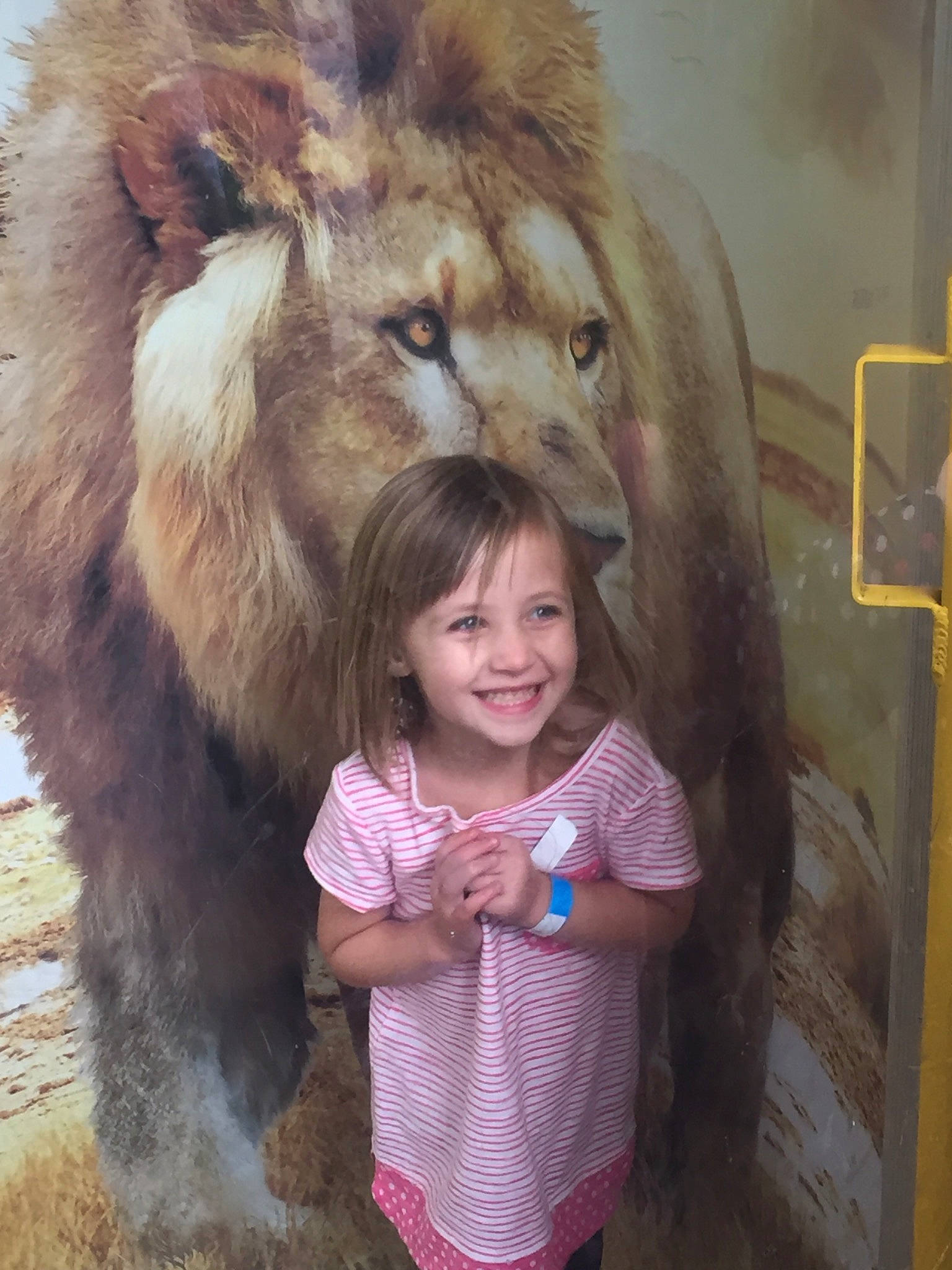 Andrea joined the competition — help win amazing prizes! big_cats, cat_like_mammal, fur, girl, joy, lion, mammal, person, snout, wildlife