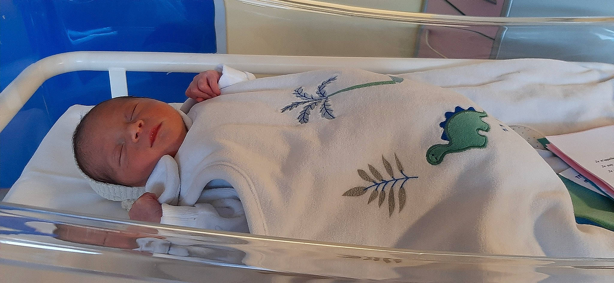 Rayan participe au concours pour gagner de l'argent avec cette photo : baby, baby_safety, baby_sleeping, bed, bedding, child, comfort, event, fin, fish, hat, hospital_bed, infant_bed, linens, medical_equipment, person, rectangle, room, sleeve, textile