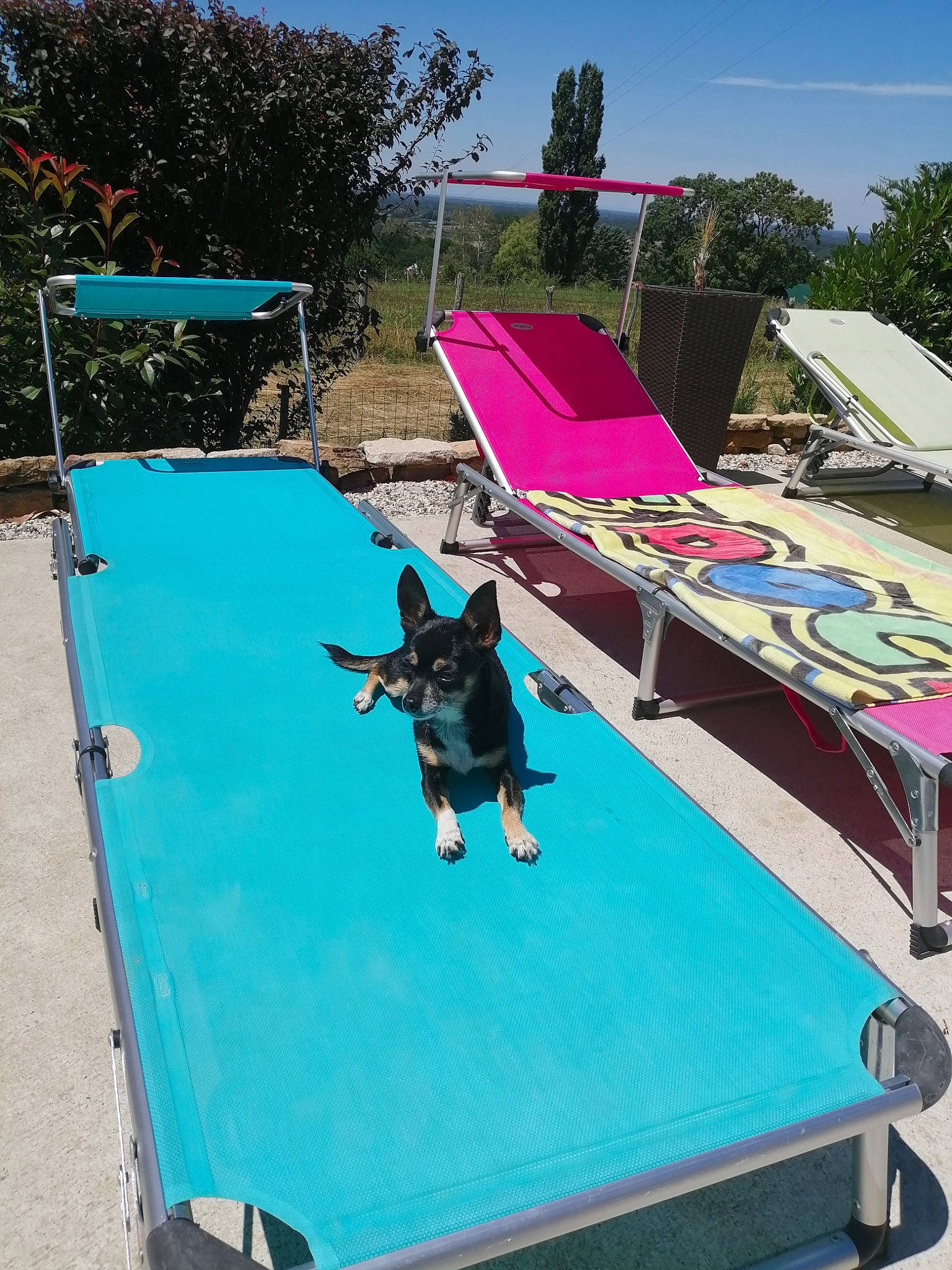 Hindy participe au concours pour gagner de l'argent avec cette photo : fun, grass, individual_sports, indoor_games_and_sports, landscape, leisure, magenta, motor_vehicle, outdoor_furniture, outdoor_play_equipment, recreation, shade, shorts, sky, sporting_group, sports, sports_equipment, toy, tree, vacation