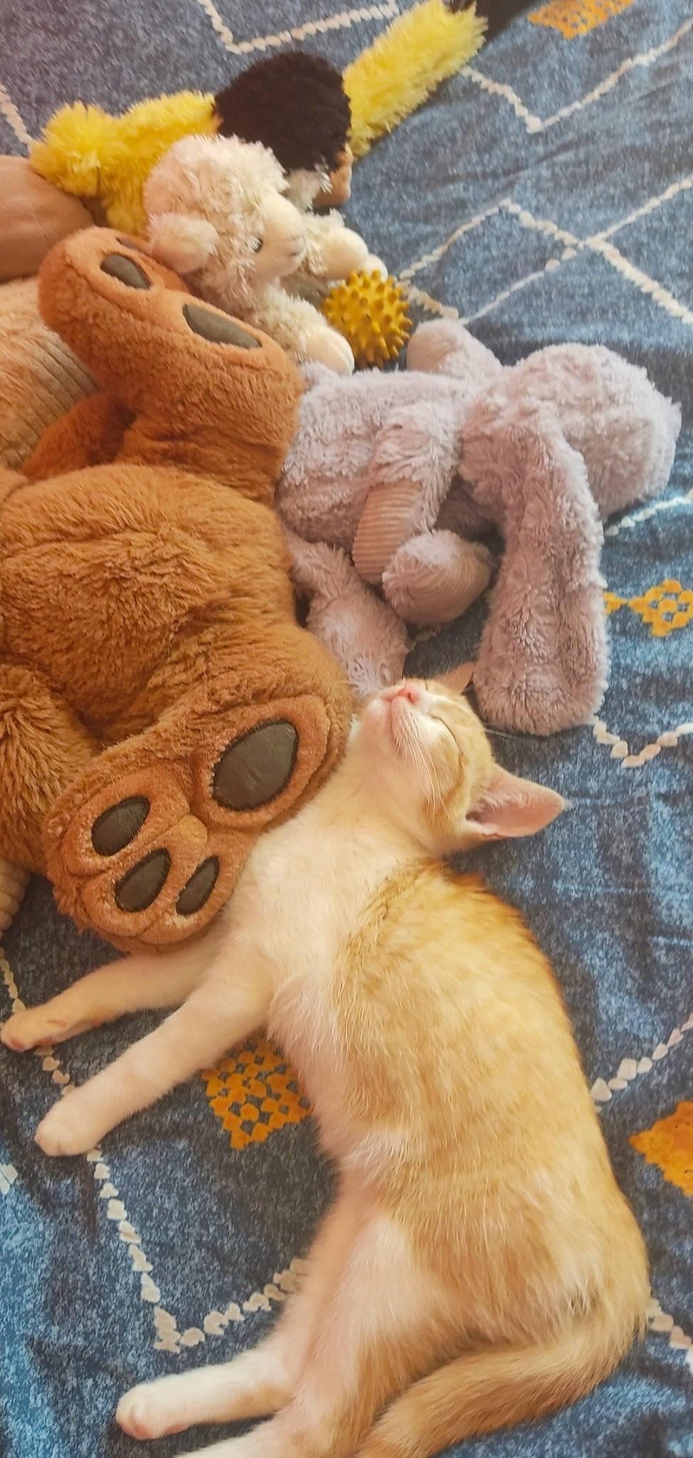 Mimi participe au concours pour gagner de l'argent avec cette photo : art, carnivore, cat, claw, companion_dog, fawn, felidae, fur, hat, paw, plush, sculpture, small_to_medium_sized_cats, snout, stuffed_toy, tail, terrestrial_animal, toy, whiskers, wood