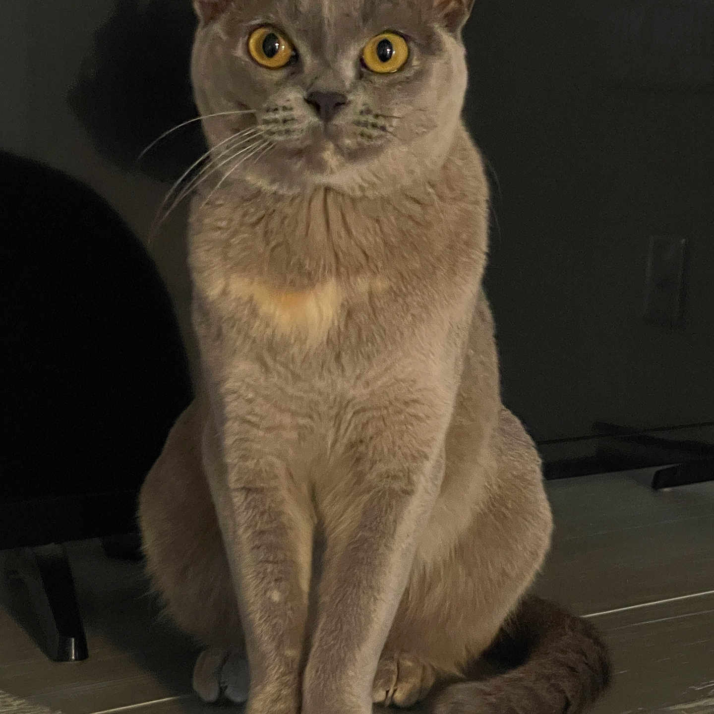 Tilly