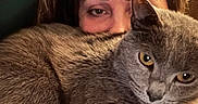 Baby is registered to the contest to win money with this photo: cat, person, face, fur, close_up, indoor, brown_hair, eyes, pet, cozy, cuddle, resting, animal, portrait, feline, warm_light, relaxation, home, companion, soft_texture