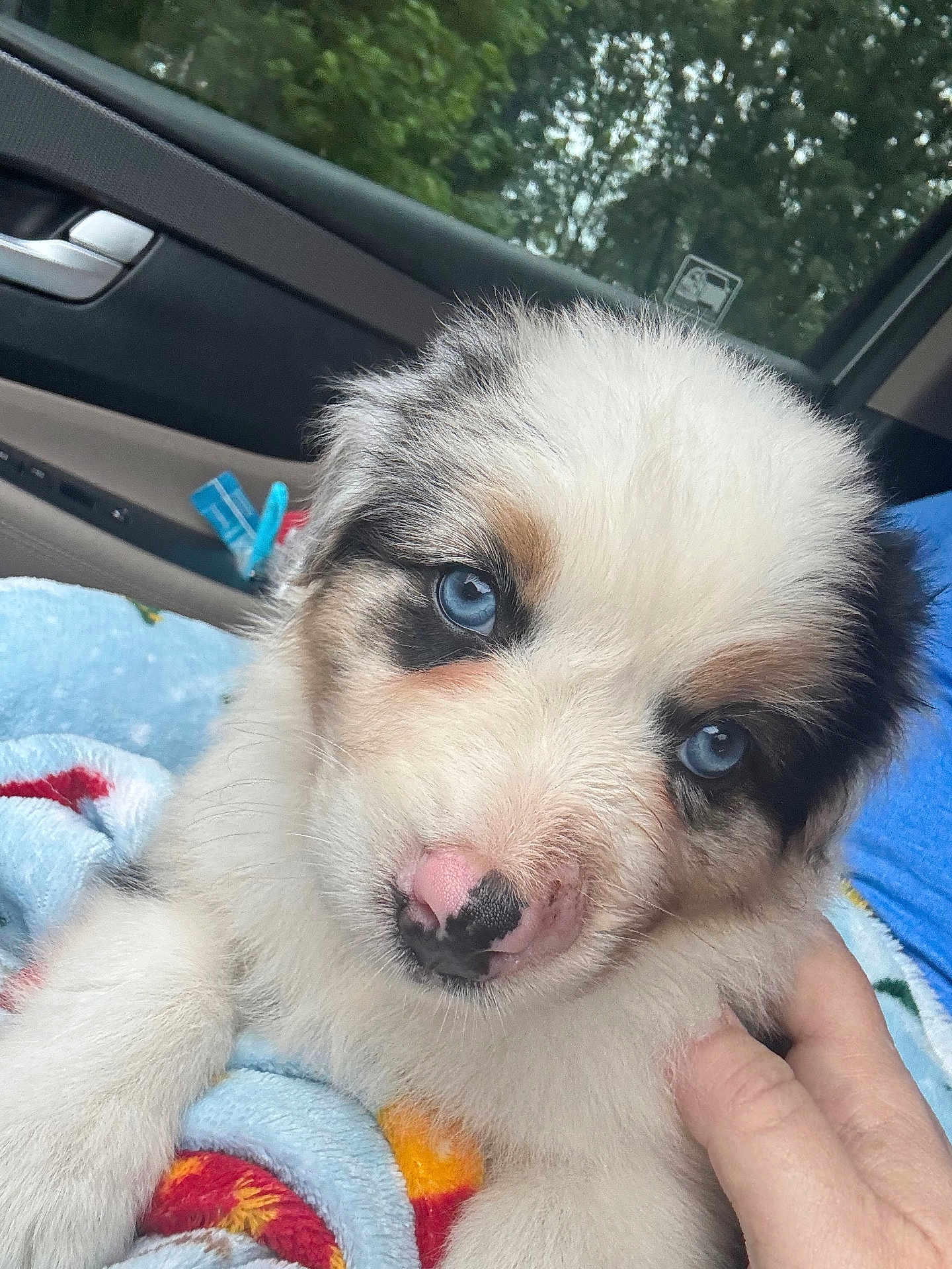 Maggie Lou