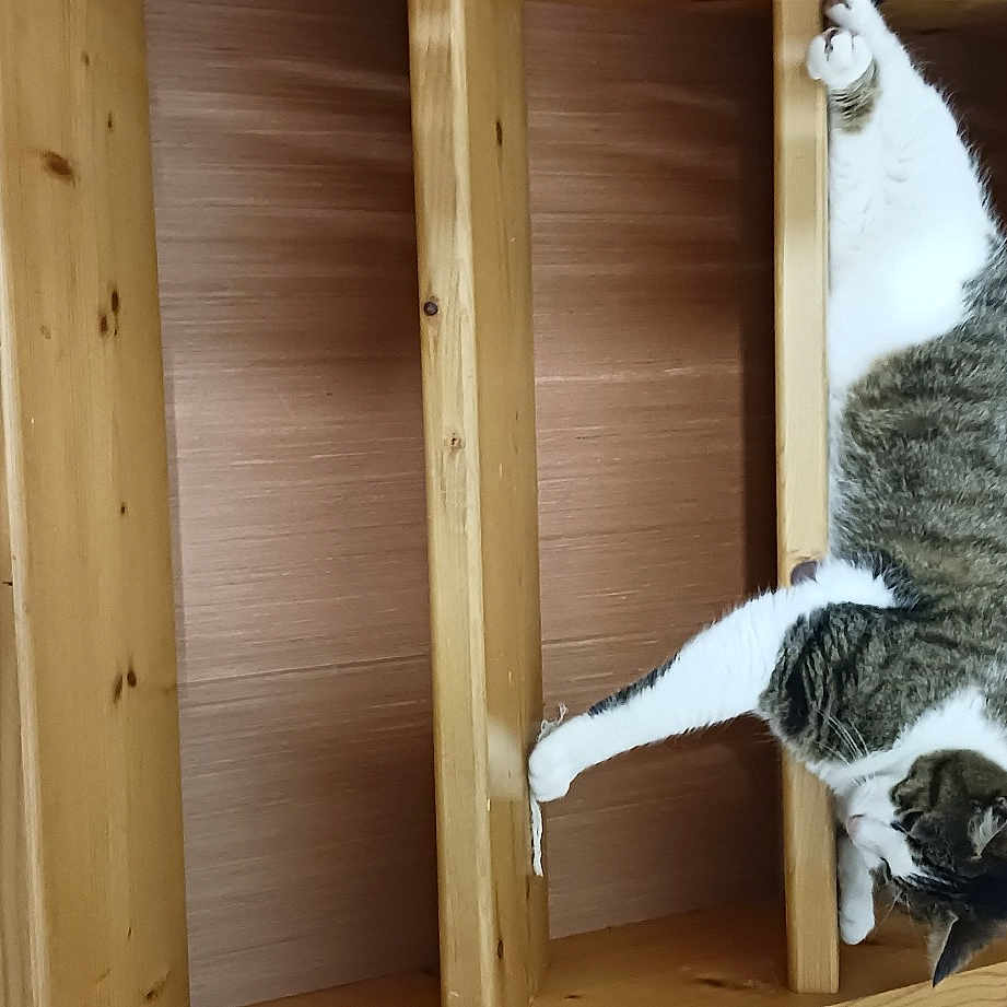 Jimmy Petit Nom Boubou