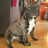 Plouf a rejoint le concours — aidez-le/la à gagner de superbes lots !