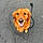 Cooper