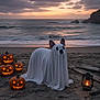 dog, ghost_costume, halloween, jack_o_lantern, pumpkin, beach, sand, sunset, lantern, chains, costume, cute, pet, animal, holiday, spooky, evening, outdoor, sky, clouds