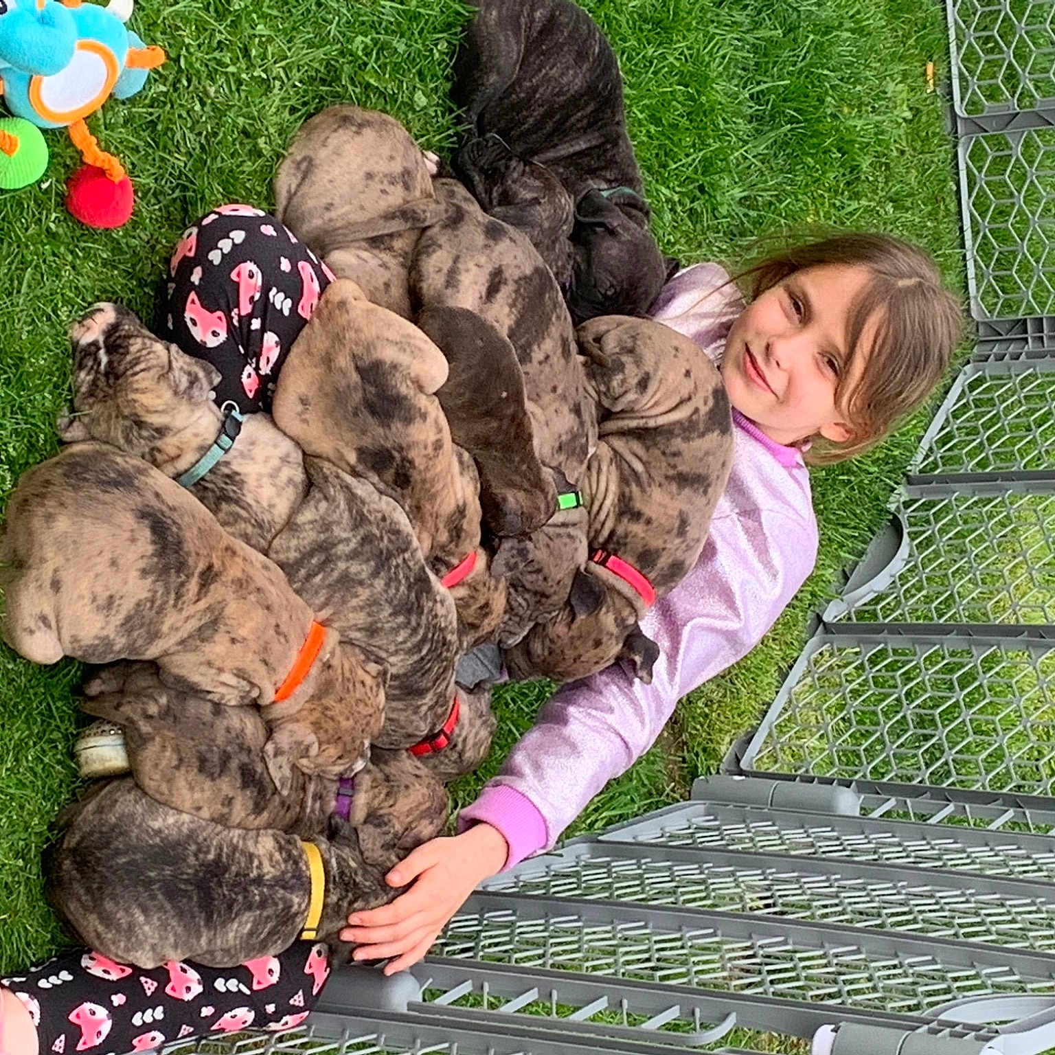 Puppies joined the competition — help win amazing prizes! boot, child, fence, fun, grass, grass_family, green, lawn, leisure, military_camouflage, pattern, people_in_nature, recreation, sitting, smile, soil, stuffed_toy, toddler, toy, vertebrate