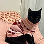 cat, black_cat, sweater, pink, hearts, cushion, pillow, floral_pattern, indoor, pet, animal, feline, cozy, sitting, soft_fabric, curtains, domestic, cute, portrait, relaxed