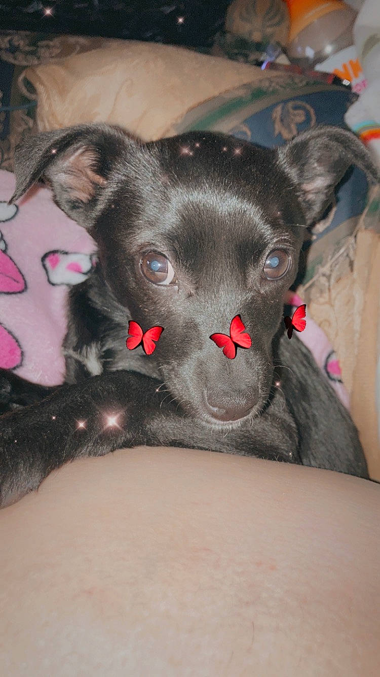 Bailey