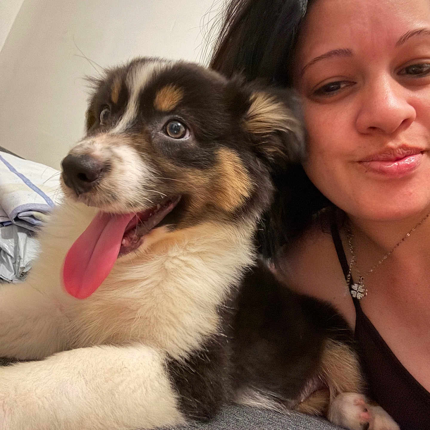 Nala participe au concours pour gagner de l'argent avec cette photo : black_hair, closeup, companion, couch, cute, dog, friendship, fur, happy, indoor, laying, mammal, necklace, pet, portrait, puppy, relaxing, smile, tongue_out, woman