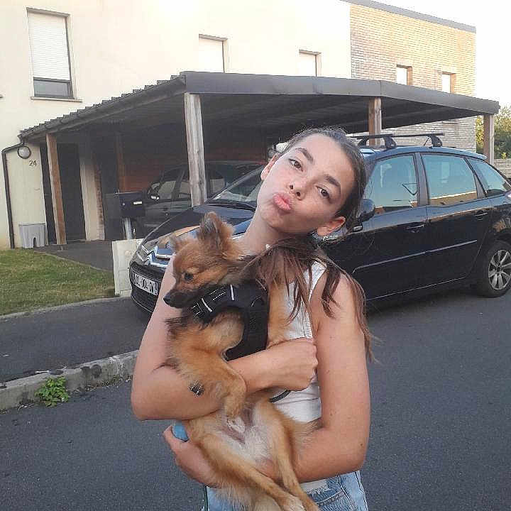 Aïko a rejoint le concours — aidez-le/la à gagner de superbes lots ! animal, car, carport, casual_clothing, child, daytime, denim_shorts, dog, fun, girl, holding, house, outdoor, pet, playful, portrait, street, summer, white_tank_top, young