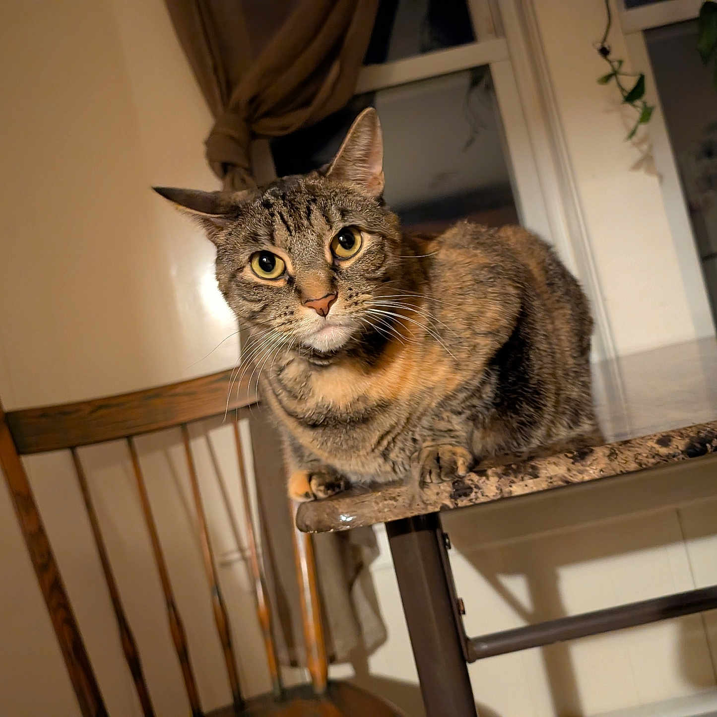 Tumbalina