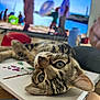 blurred_background, book, cat, close_up, curious, cute, domestic_animal, drawing, ears, face, feline, home, indoor, lying_down, pet, relaxed, tabby, table, television, whiskers