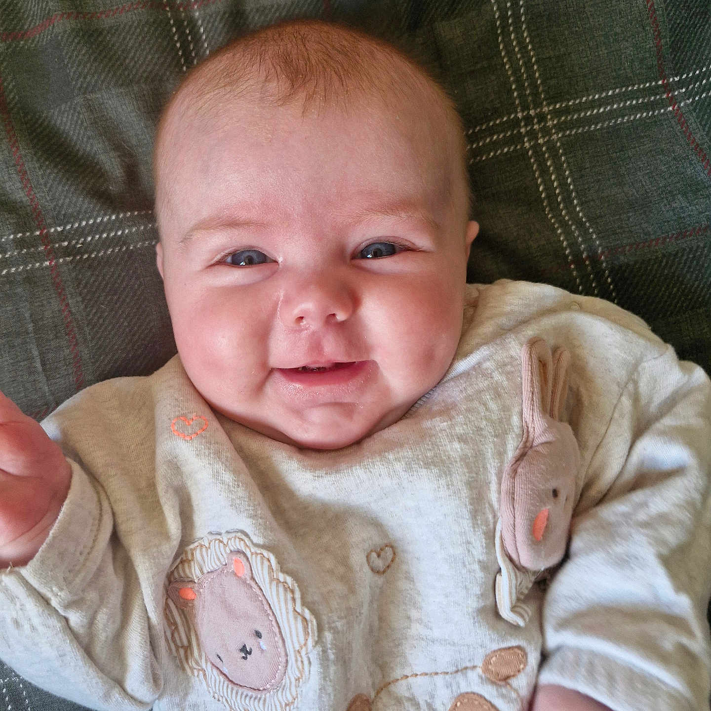 Zoe is registered to the contest to win money with this photo: animal_patch, baby, bunny_patch, cheeks, child, closeup, clothing, cute, face, happy, indoors, infant, lion_patch, lying_down, panda_patch, person, plaid_blanket, portrait, smiling, sweater