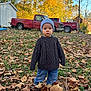 Atticus is registered to the contest to win money with this photo: toddler, child, autumn, leaves, basketball, sweater, beanie, grass, pickup_truck, tree, outdoor, fall, nature, toy, vehicle, person, jeans, daylight, park, casual_clothing