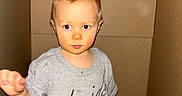 Atticus joined the competition — help win amazing prizes! cardboard_box, casual_clothing, child, childhood, curious, exploring, expression, front_view, gray_tshirt, indoor, isolated, light_skin, person, portrait, short_hair, single_person, small_child, standing, toddler, young_child