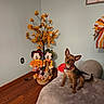 dog, small_dog, pet, indoor, fall_decor, mickey_mouse, minnie_mouse, stuffed_toys, autumn, decorations, basket, artificial_tree, orange_leaves, wood_floor, bed, blanket, wall_art, ribbon, collar, curious