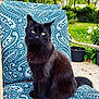 black_cat, cat, animal, pet, outdoor, chair, patterned_fabric, greenery, flower_pot, plant, nature, portrait, sitting, feline, whiskers, tail, daylight, garden, relaxing, fur