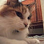 Sassi participe au concours pour gagner de l'argent avec cette photo :