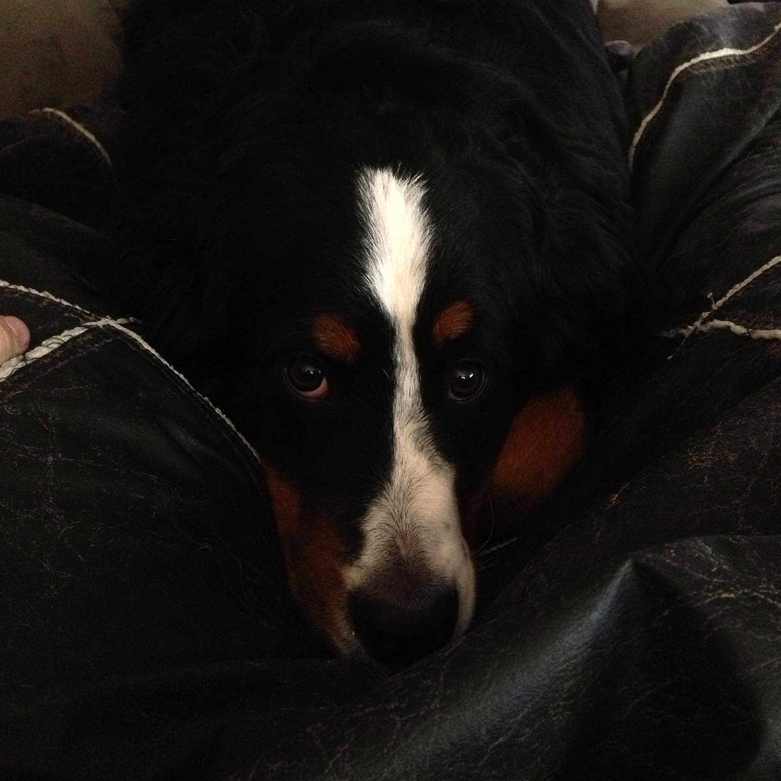 Stella is registered to the contest to win money with this photo: