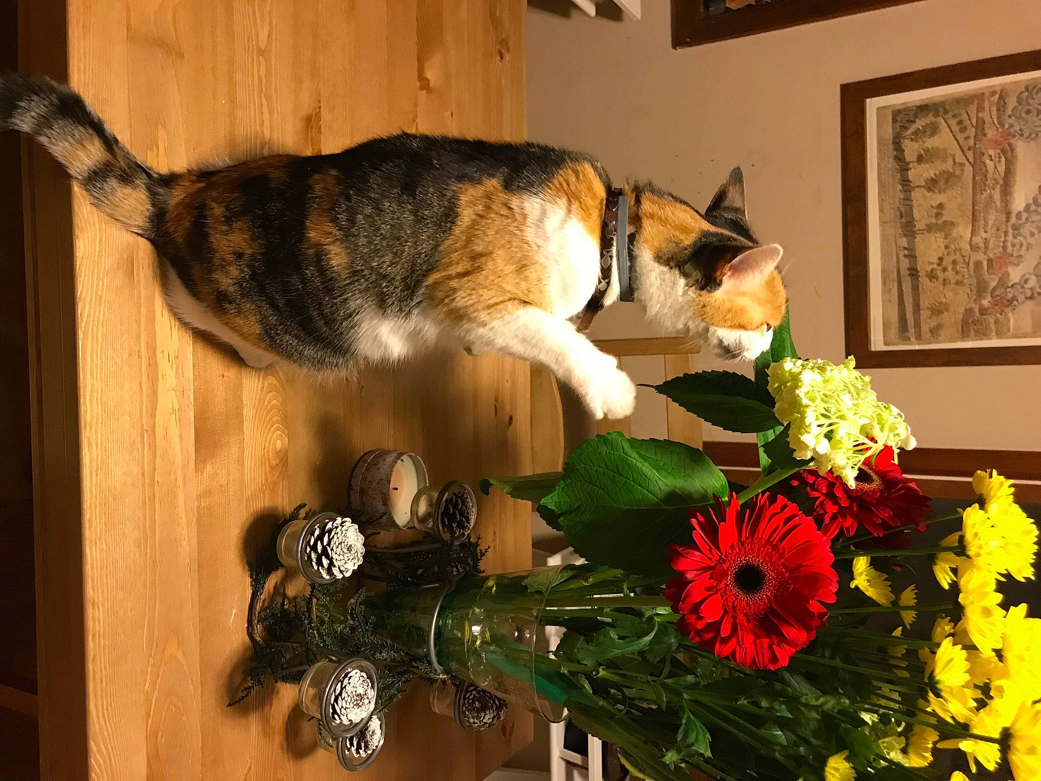 Eloise joined the competition — help win amazing prizes! artificial_flower, bouquet, carnivore, cat, creative_arts, cut_flowers, felidae, floral_design, floristry, flower, flower_arranging, houseplant, petal, picture_frame, plant, small_to_medium_sized_cats, tail, vase, whiskers, wood
