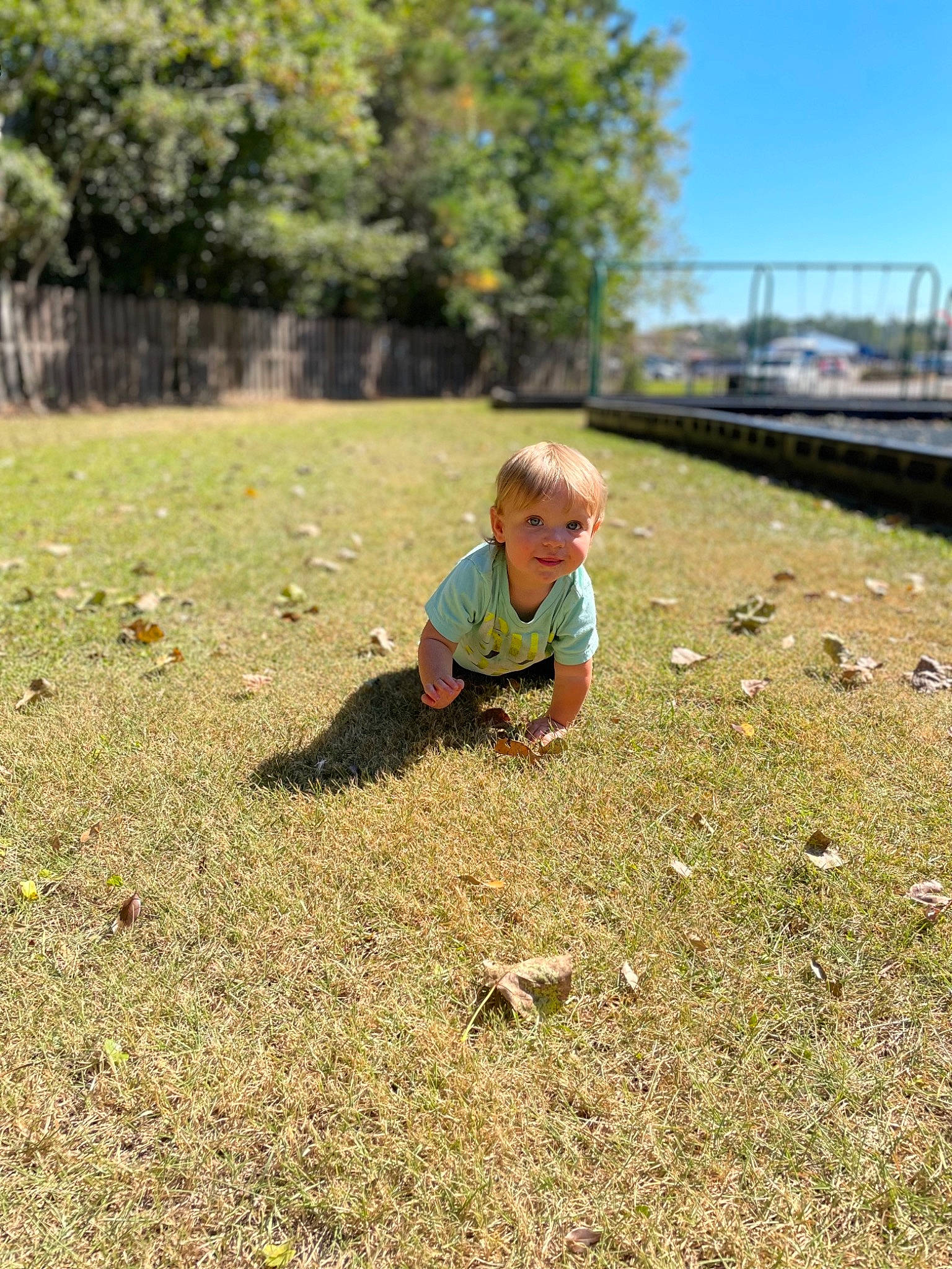 Timothy joined the competition — help win amazing prizes! asphalt, field, fun, grass, grass_family, grassland, happy, landscape, leisure, people_in_nature, person, plant, recreation, road_surface, sand, sitting, sky, soil, toddler, tree