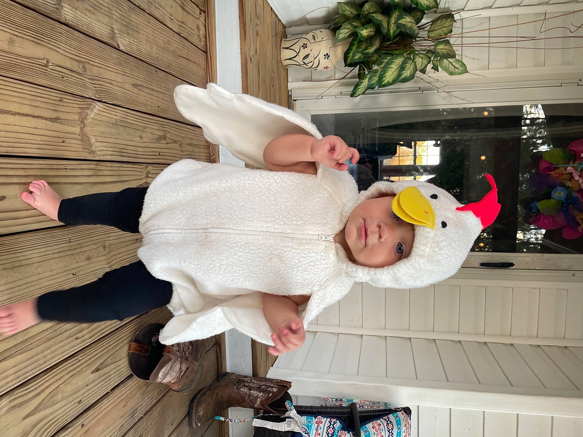 Timothy is registered to the contest to win money with this photo: baby, child, flooring, fun, happy, hardwood, hat, headwear, houseplant, leisure, person, plant, room, smile, sun_hat, toddler, tree, vacation, wood, wood_flooring