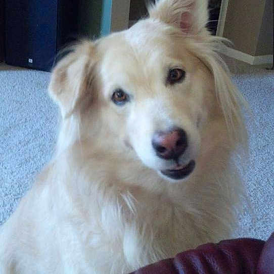 Bella is registered to the contest to win money with this photo: