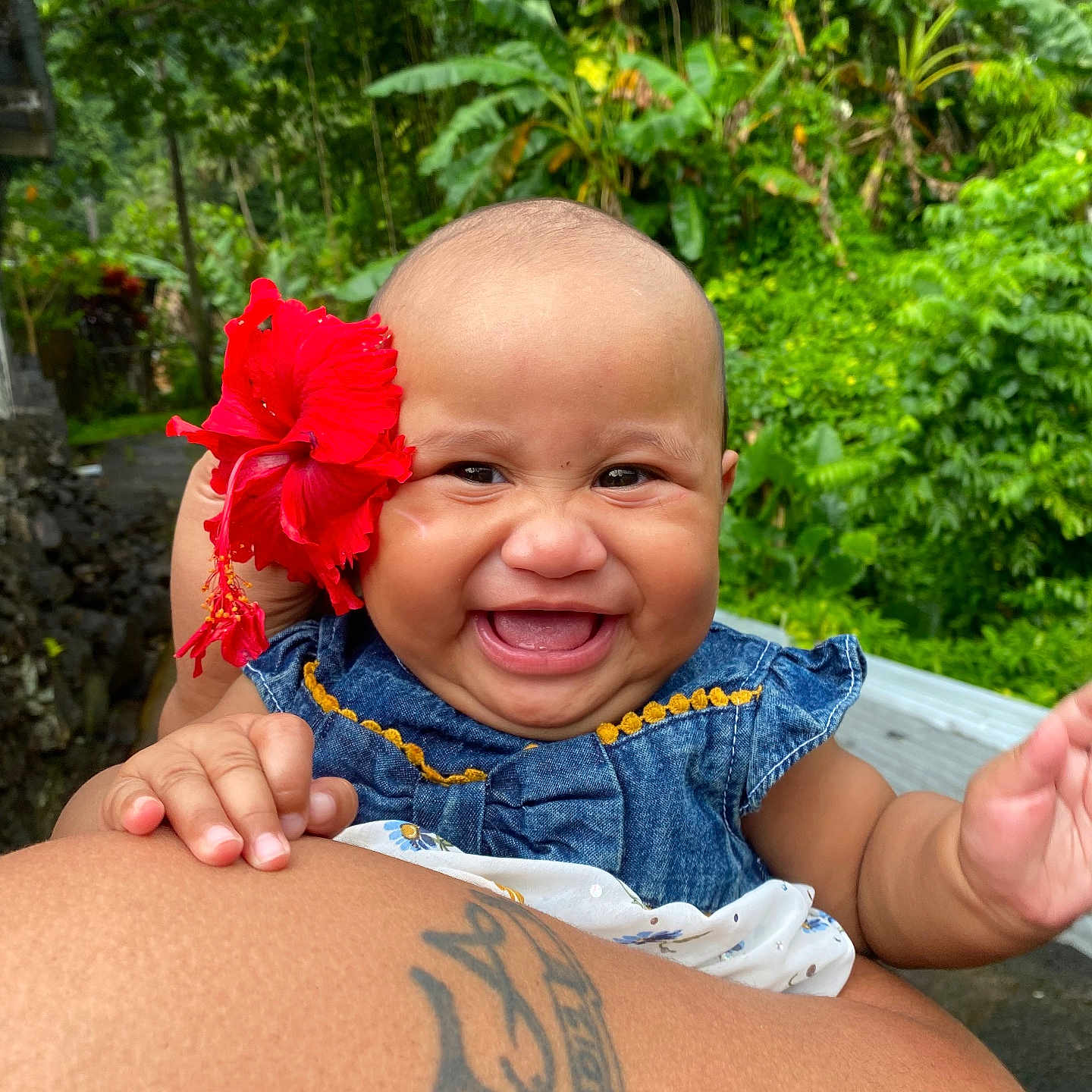 Aloralei joined the competition — help win amazing prizes! baby, child, smiling, flower, red_flower, denim_dress, tattoo, arm, outdoor, greenery, tropical, nature, happy, portrait, infant, cute, skin, person, holding, closeup