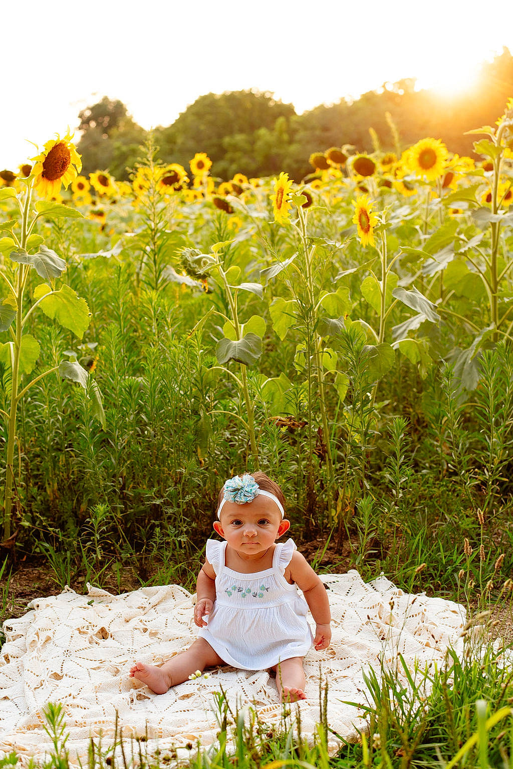 Journii joined the competition — help win amazing prizes! flower, grass, grassland, green, happy, headgear, headwear, landscape, leaf, leisure, meadow, natural_environment, natural_landscape, people_in_nature, person, petal, plant, sky, summer, sunglasses