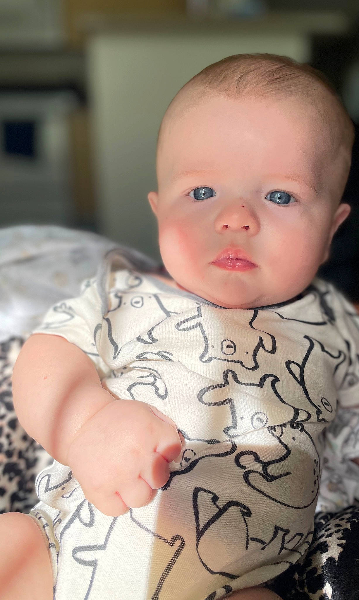 Maxwell is registered to the contest to win money with this photo: baby, baby_toddler_clothing, cheek, chest, child, chin, comfort, eye, eyebrow, happy, iris, lip, mouth, neck, nose, person, skin, sleeve, smile, toddler