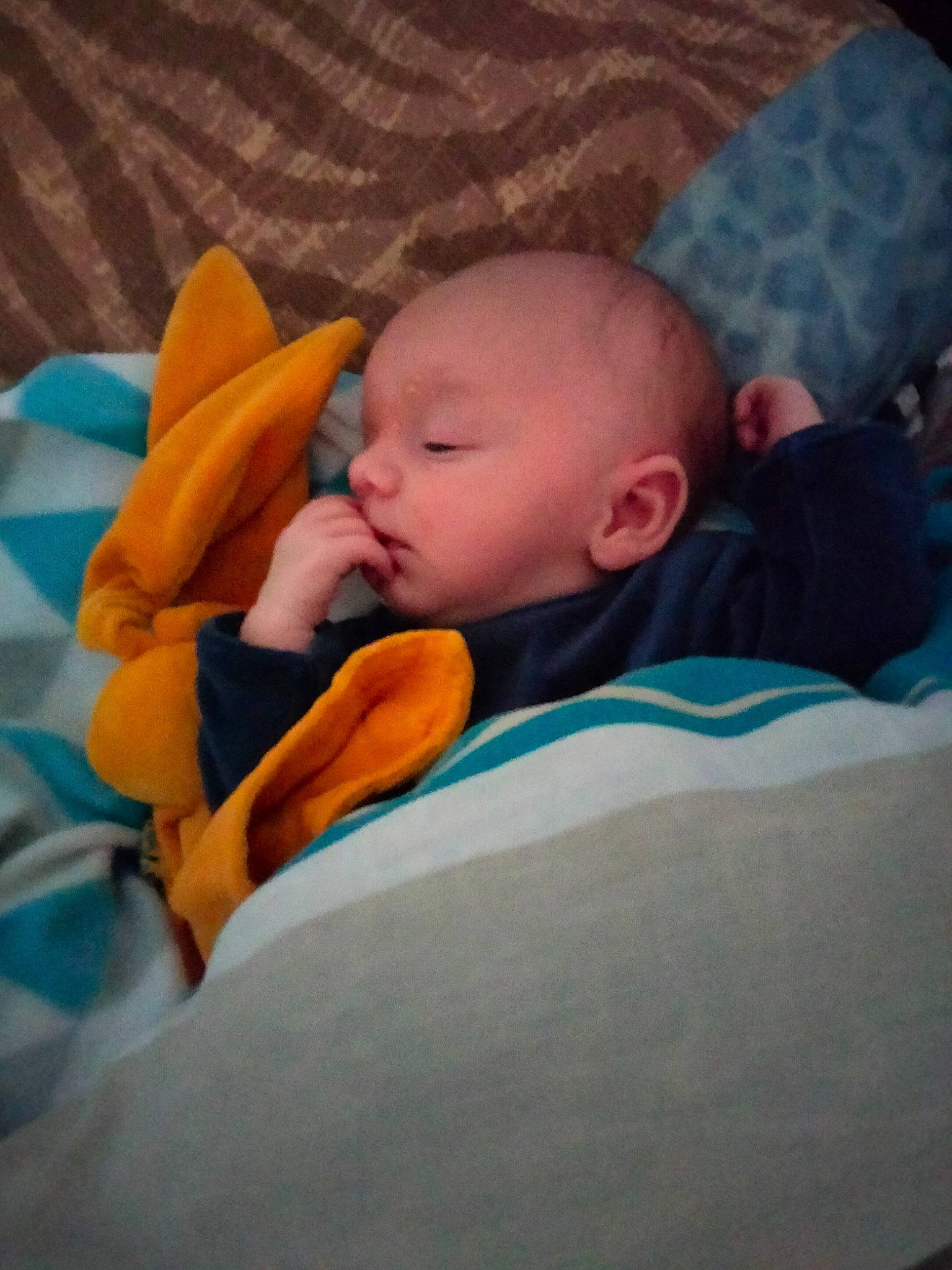 Tiego a rejoint le concours — aidez-le/la à gagner de superbes lots ! baby, baby_products, baby_sleeping, baby_toddler_clothing, bedtime, cheek, child, comfort, ear, eye, human_body, linens, nail, nap, nose, person, room, sitting, sleep, thumb