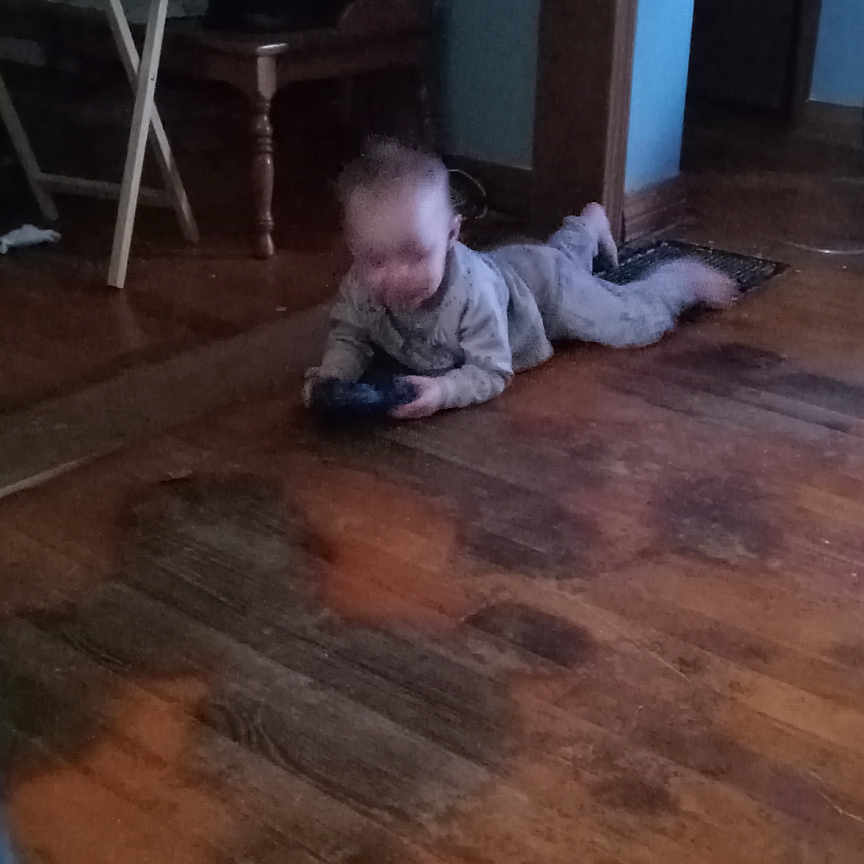 Hudson joined the competition — help win amazing prizes! architecture, baby, building, clothing, crawling, face, furniture, hardwood, head, indoors, interiordesign, livingroom, pants, person, photography, plywood, portrait, room, sitting, wood