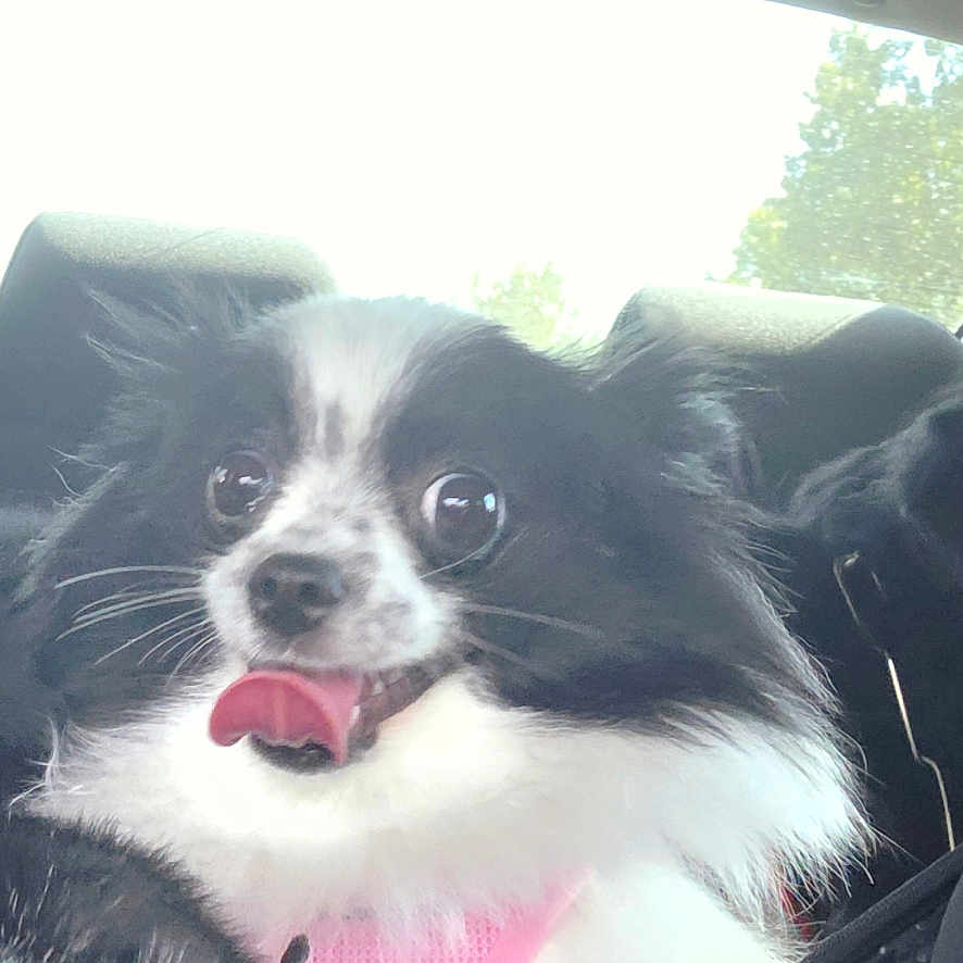 Molly