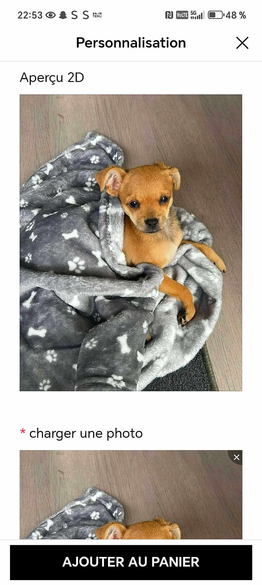 Princesse participe au concours pour gagner de l'argent avec cette photo : puppy, dog, blanket, gray, cozy, cute, small_dog, floor, wooden_floor, pet, animal, wrapped, resting, looking, ears, fur, indoor, comfort, snug, young_dog
