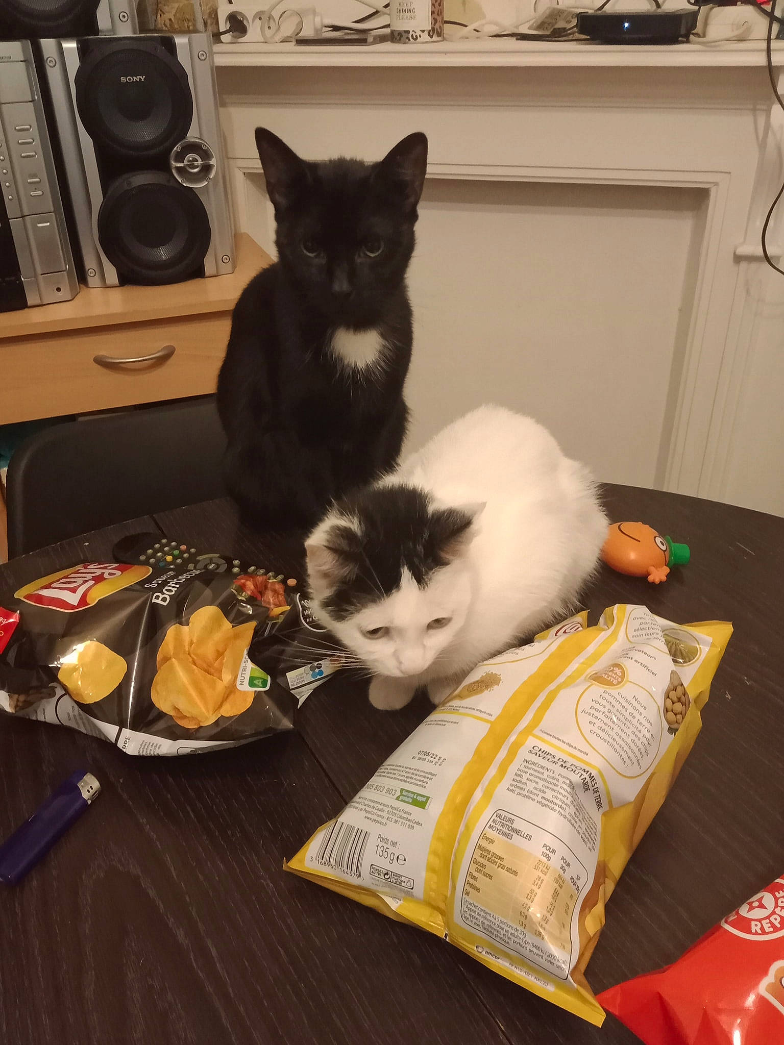 Nala Et Caramel a rejoint le concours — aidez-le/la à gagner de superbes lots ! audio_equipment, bag, box, carnivore, cat, comfort, domestic_short_haired_cat, drawer, felidae, flooring, fur, hardwood, home_appliance, linens, loudspeaker, room, small_to_medium_sized_cats, studio_monitor, tail, whiskers