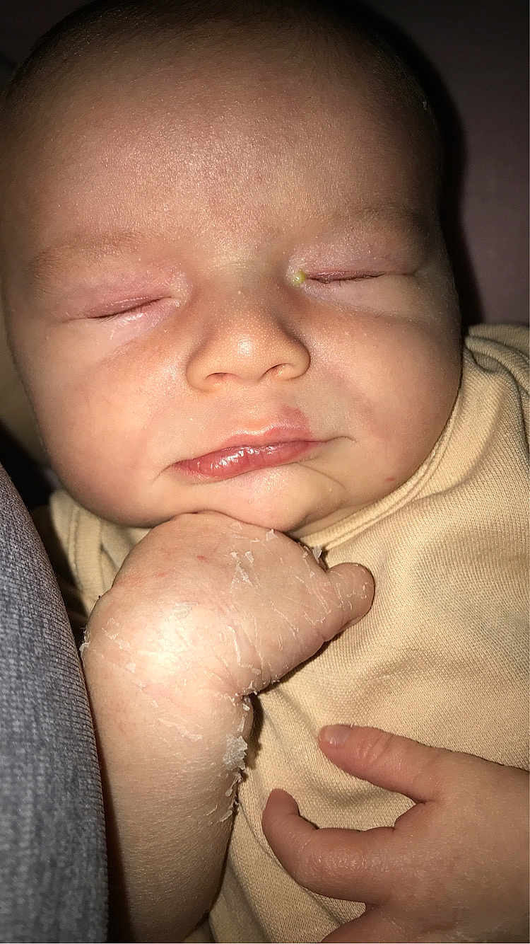 Lorenzo