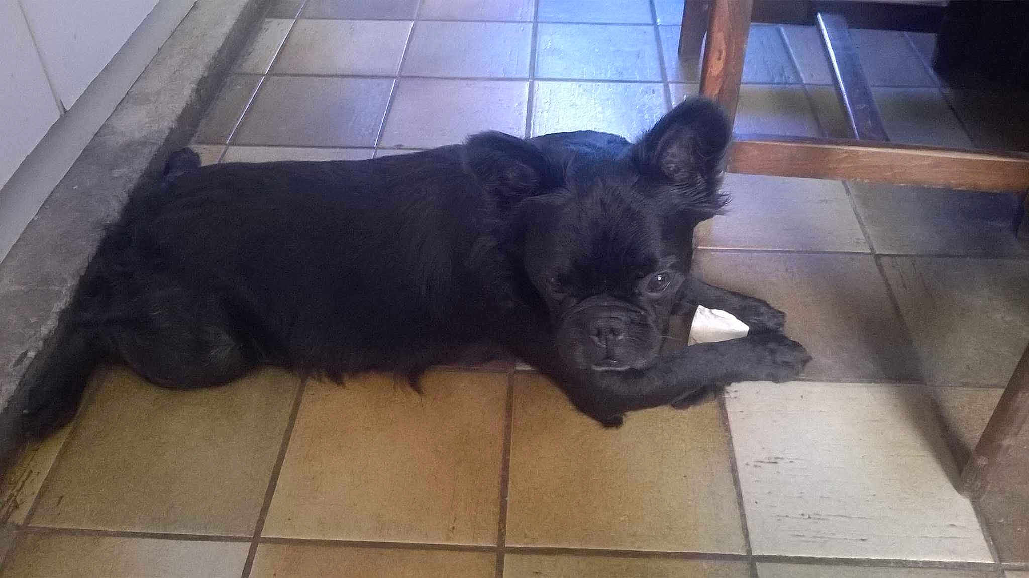 Bouba