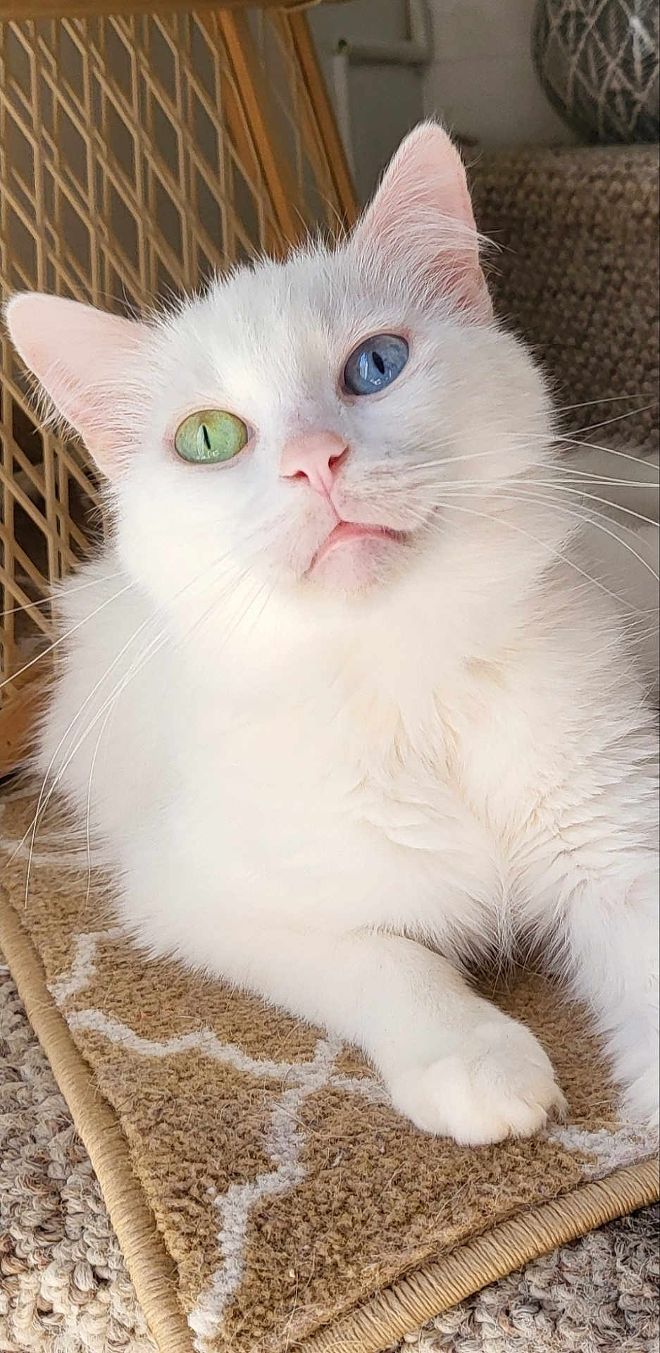 Diamond