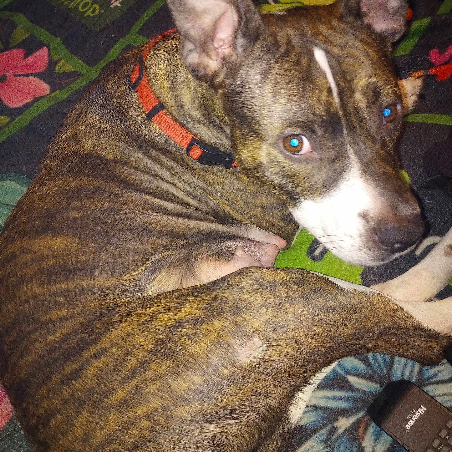 Nakita