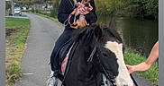 Nala participe au concours pour gagner de l'argent avec cette photo : pony, dog, horse, rider, pet, animal, outdoor, countryside, river, path, trees, cloudy_sky, riding, saddle, bridle, leash, black_and_white, small_dog, person, equestrian