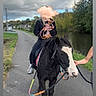 pony, dog, horse, rider, pet, animal, outdoor, countryside, river, path, trees, cloudy_sky, riding, saddle, bridle, leash, black_and_white, small_dog, person, equestrian
