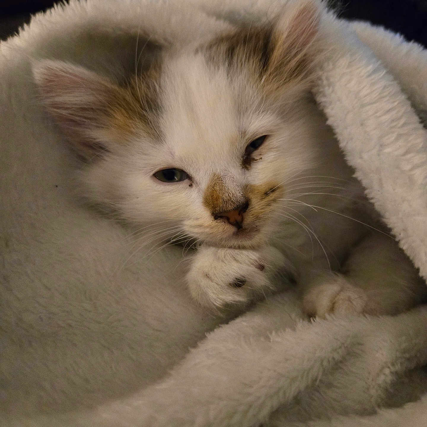 Winky