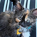 Aida C.