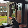 cat, black_cat, window, windowsill, rain, outside, house, building, fence, grass, outdoor, pet, domestic_animal, sitting, wood, reflection, quiet, daytime, home, looking