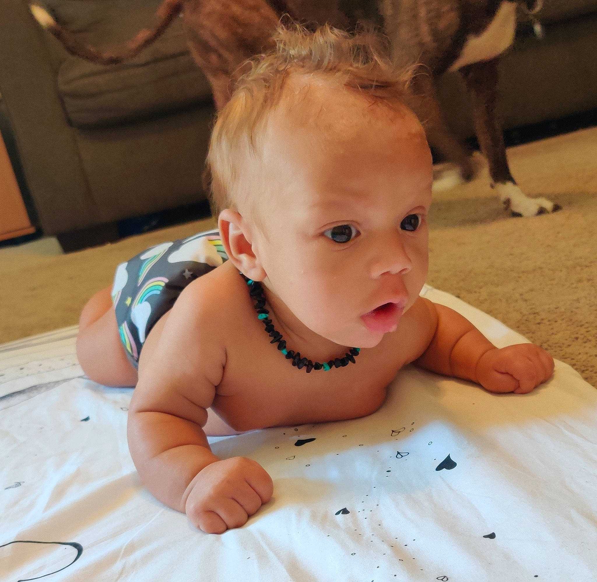 Axl is registered to the contest to win money with this photo: baby, cheek, child, crawling, ear, eye, face, finger, forehead, head, iris, person, skin, thumb, toddler, tummy_time